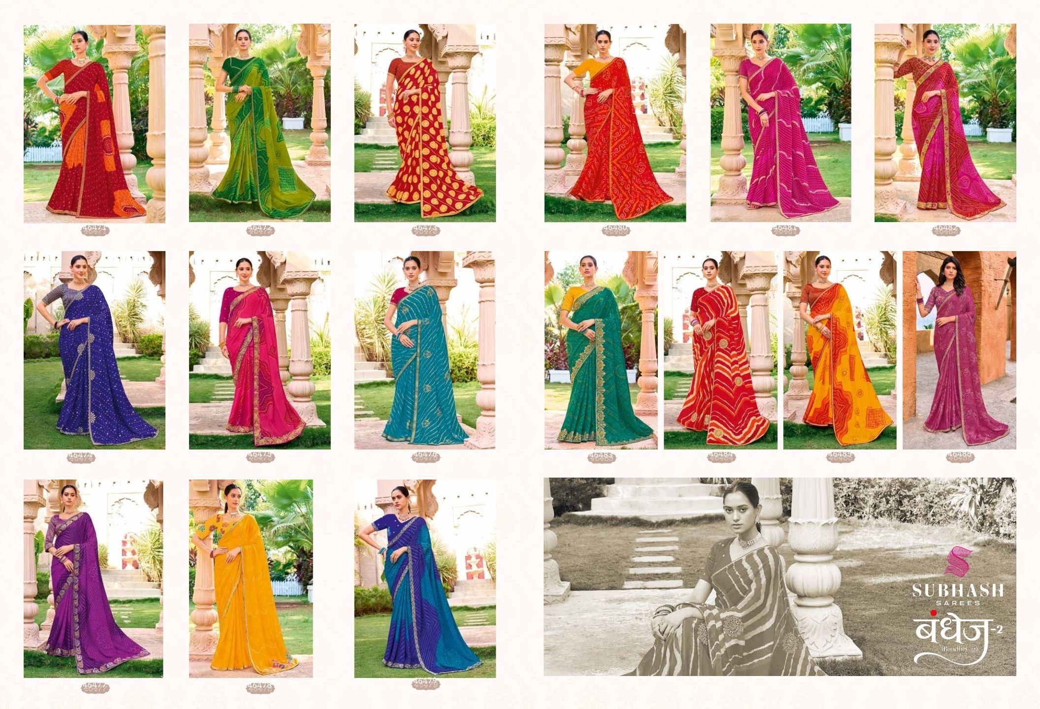 Bandhej-02 : Pure Chiffon Bandhani Print Embroidered Border Saree with Designing Blouse
