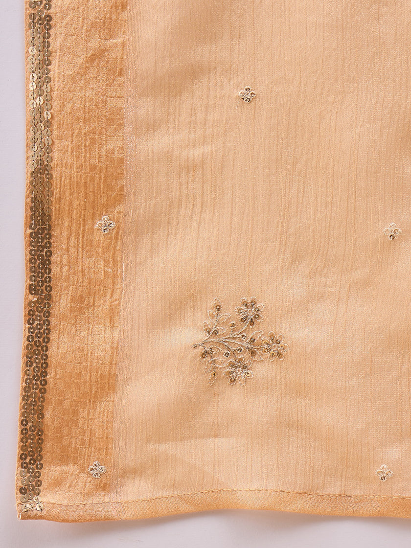 Beige Pure Chiffon Sequence Embroidery With Embellished Border Saree with Unstitched Fancy Blouse